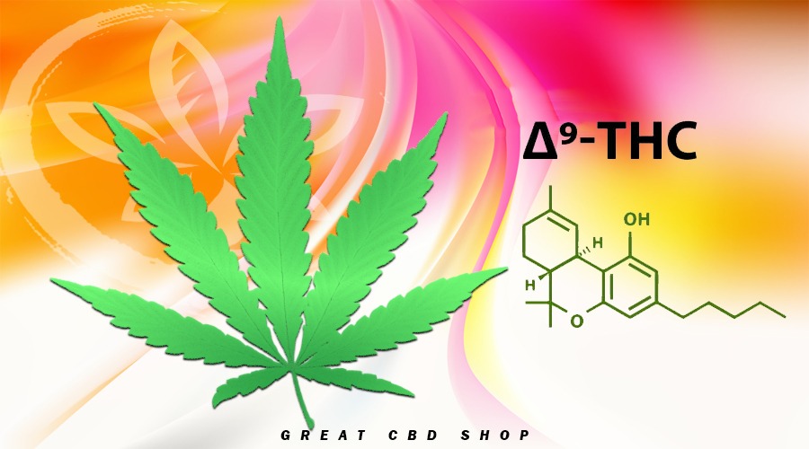 What is Delta‑9 THC?