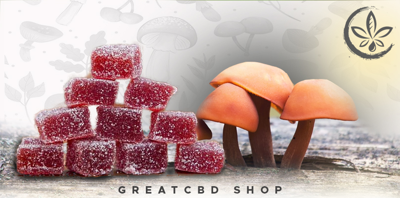 What are mushroom gummies and their benefits - Great CBD Shop