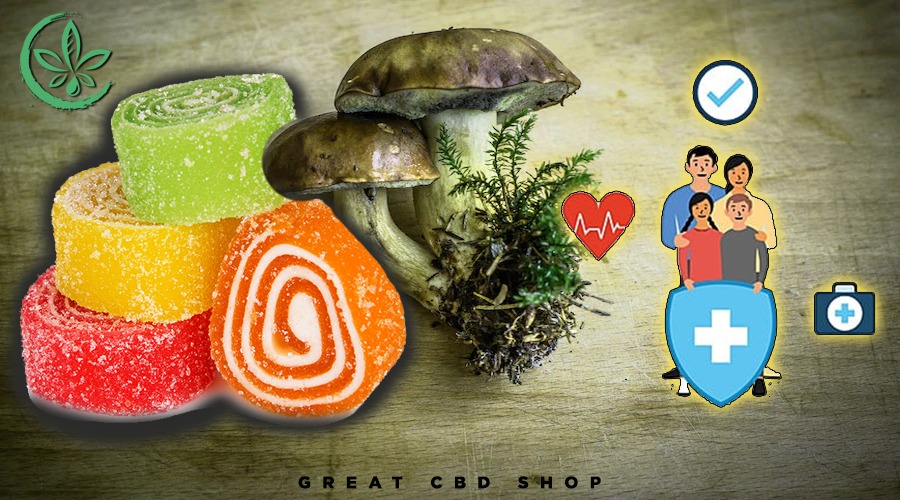 benefits of mushroom gummies