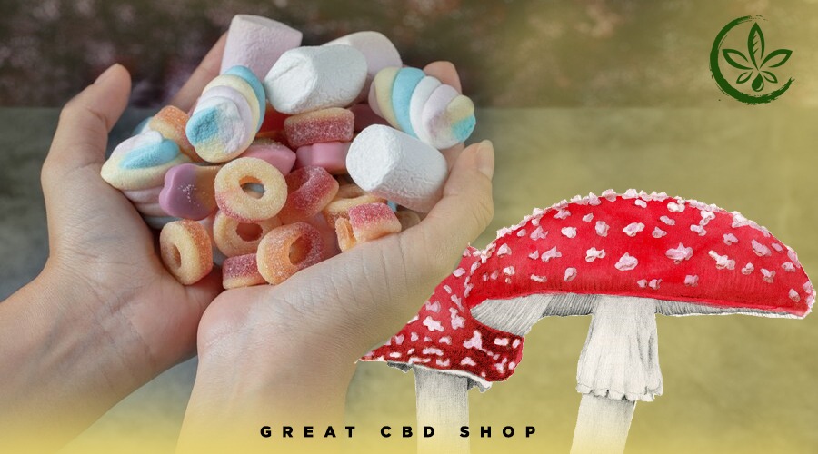 how to take mushroom gummies