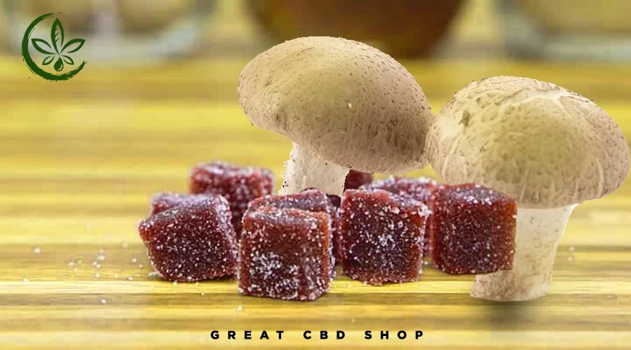 what are mushroom gummies