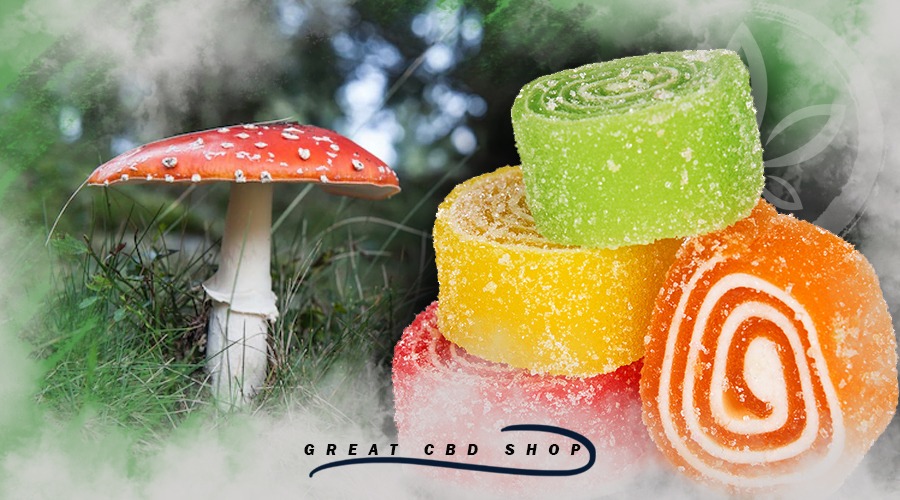 Benefits of Amanita Muscaria