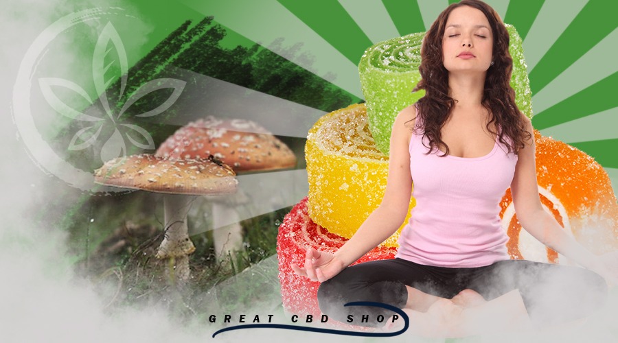 Spiritual and Meditative Practices