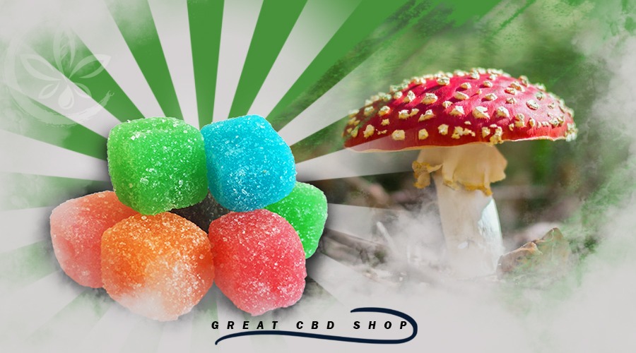 Usage of Amanita Gummies