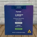 Urb D8 D9 Live Resin Gummies 200mg - 2ct-Spiked KIwi -- BULK CASE (1)