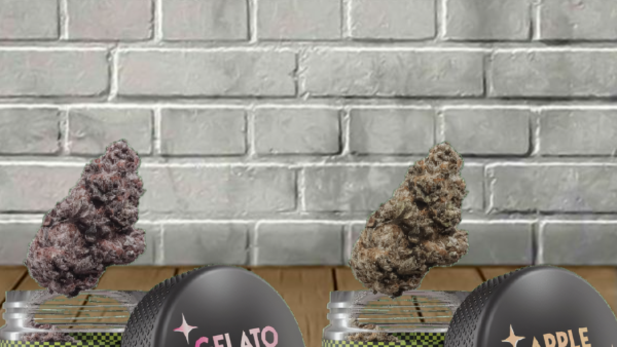 Twenty-One-Cannabis-Exotic-