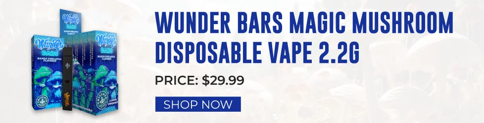 Wunder Bars Magic Mushroom Disposable Vape 2.2g