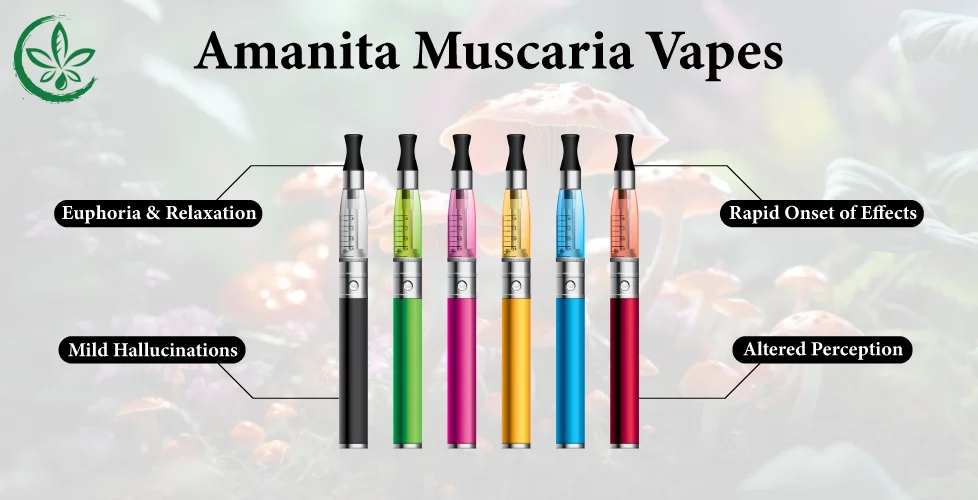 Amanita Muscaria Vapes: Effects on the Mind and Body
