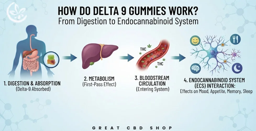 How Do Delta 9 Gummies Work