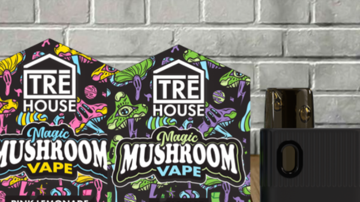 Mushroom Disposables - Great CBD Shop Mushroom Disposables - Great CBD Shop