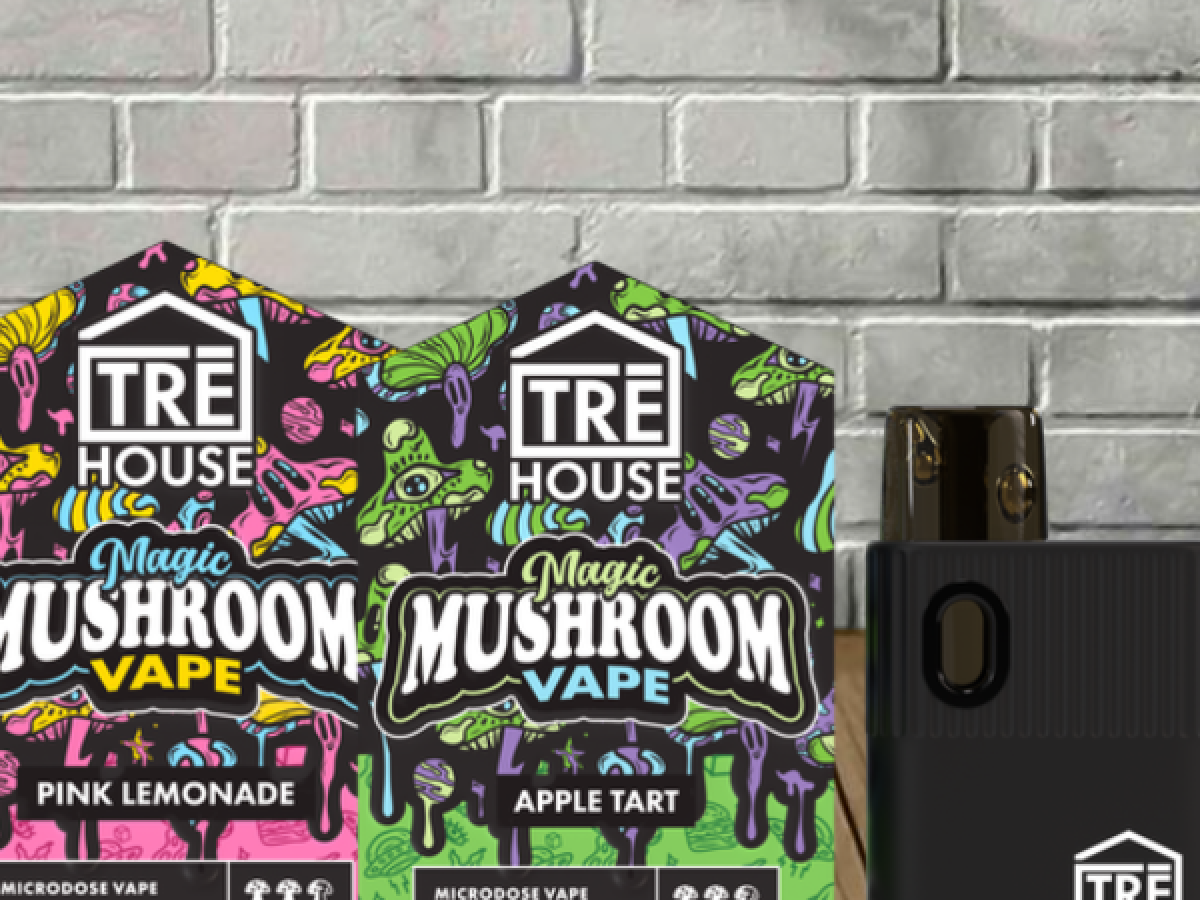 Mushroom Disposables - Great CBD Shop Mushroom Disposables - Great CBD Shop