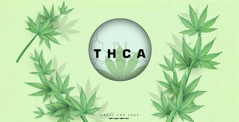 What is THCA?