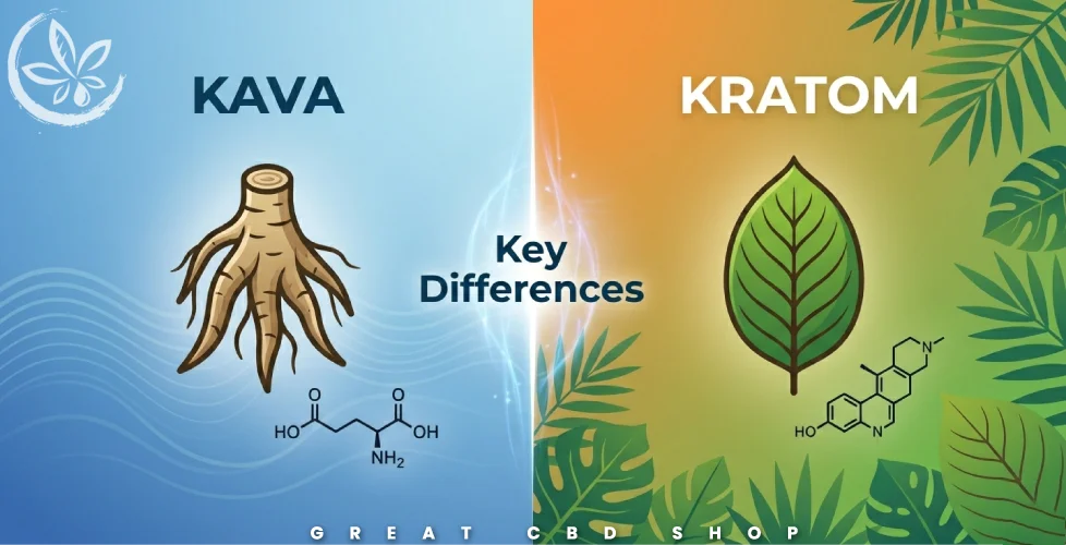 Kava vs Kratom Key Differences