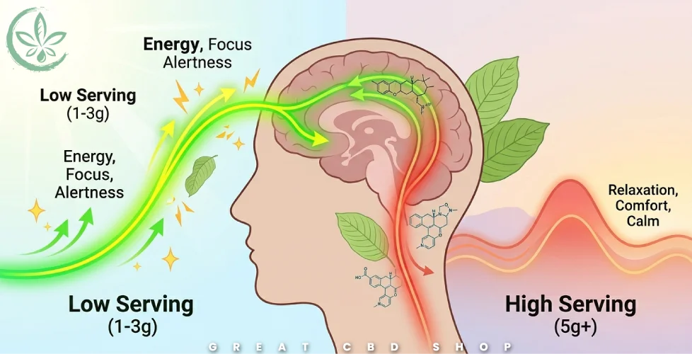 Kratom Effects