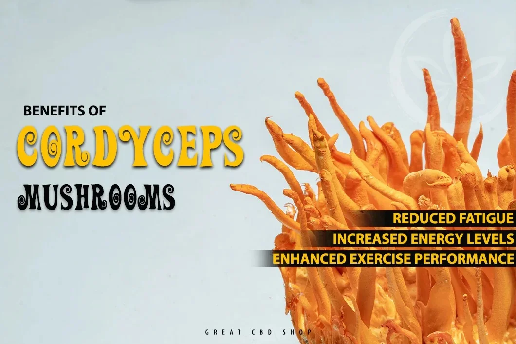 Benefits of Cordyceps