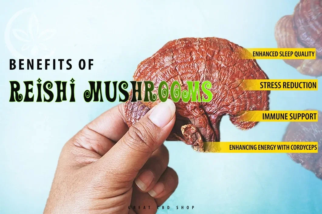 Benefits of Reishi