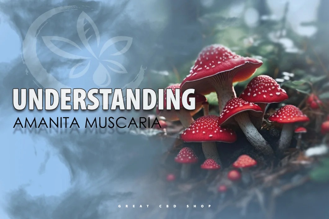 Understanding Amanita Muscaria