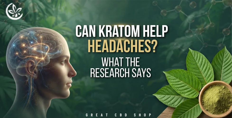 Can Kratom Help Headaches What the Research Says