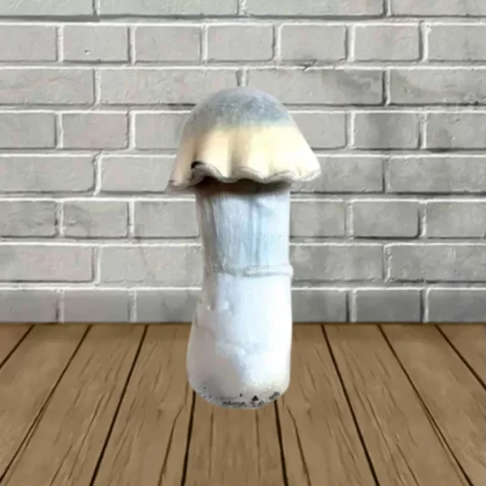 Ghost SporesMD Mushroom Spore_mushroom