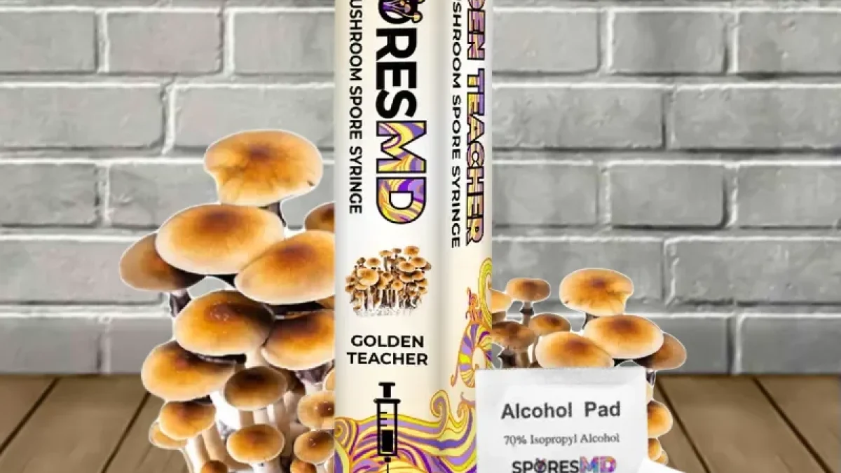 Golden Teacher SporesMD Mushroom Spore - Great CBD Shop