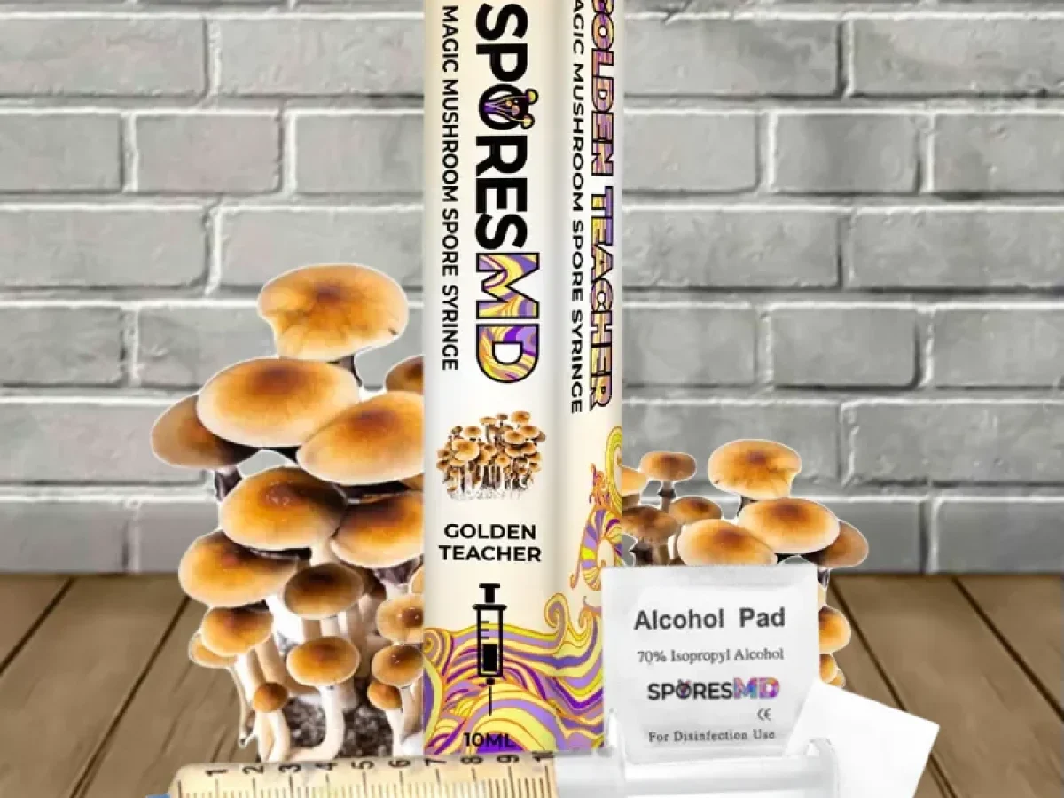 Golden Teacher SporesMD Mushroom Spore - Great CBD Shop