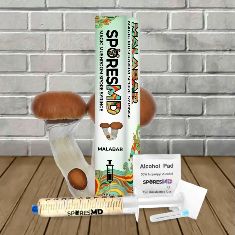 Malabar Spores Syringe – 10ml