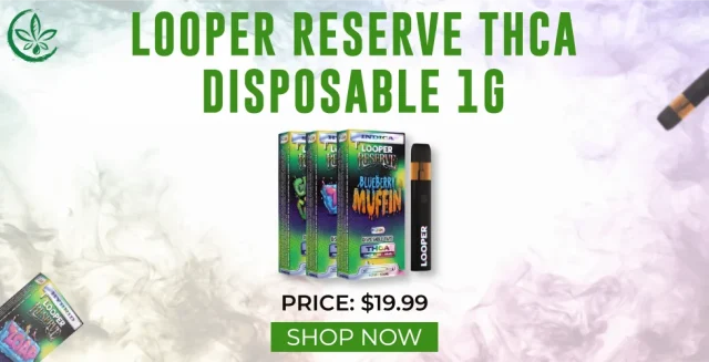 Looper Reserve THCa + THCP Disposable 1g