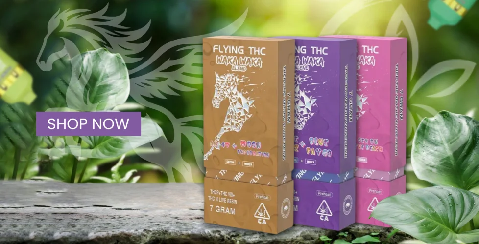 Flying THC Waka Waka Blend Disposable 7g
