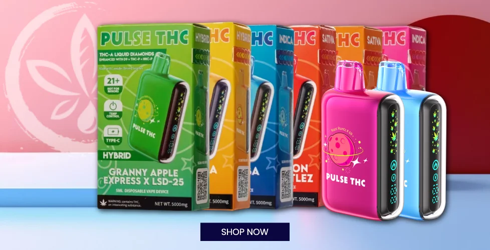 Pulse THC THCa Liquid Diamond Blend Disposable Vape 5g