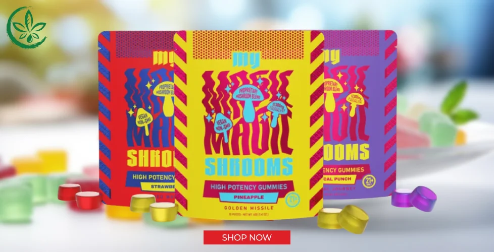 My Magic Shrooms High Potency Mushroom Gummies 10ct