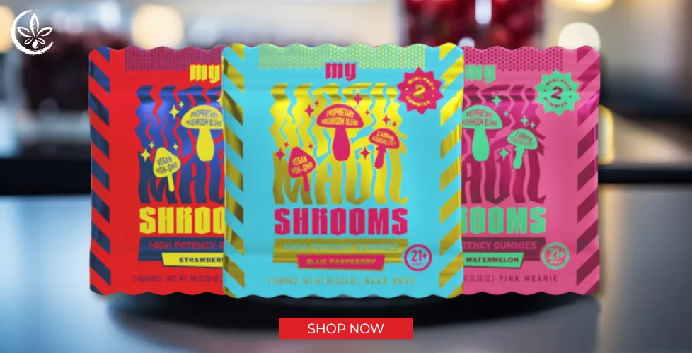 My Magic Shrooms High Potency Mushroom Gummies 2ct