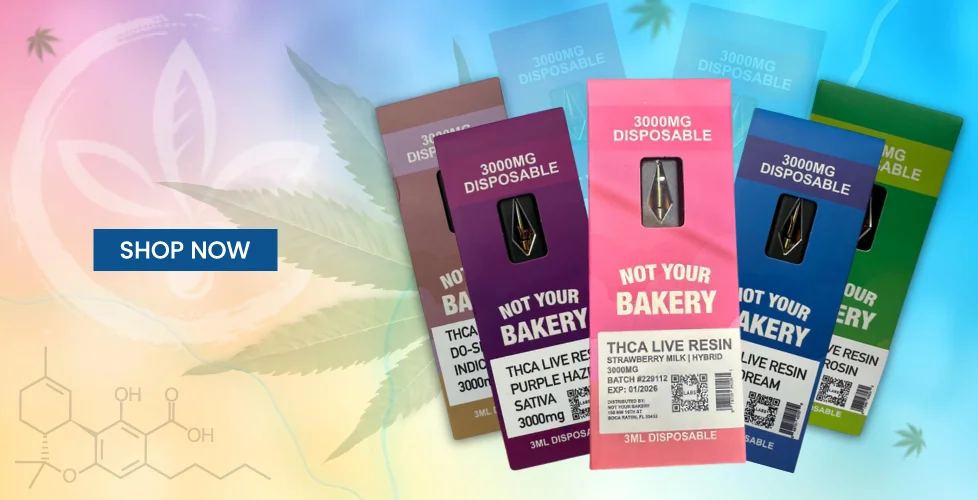 Not Your Bakery Live Resin THCa Disposable 3g
