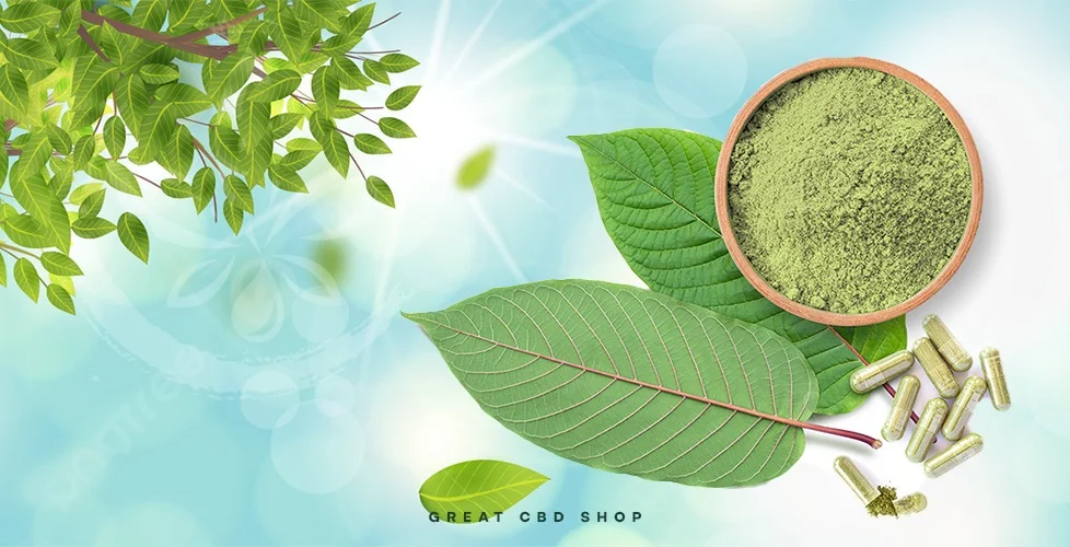 7 Star Kratom Tablets Review: Are They Worth the Hype?