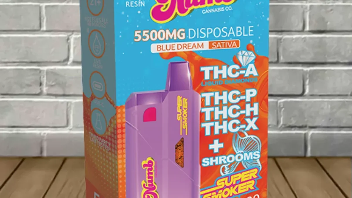 Mushroom Disposables - Great CBD Shop