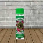 Munchies Jelly Hole THCa Pre-Roll 2g Forbidden Watermelon (Indica)