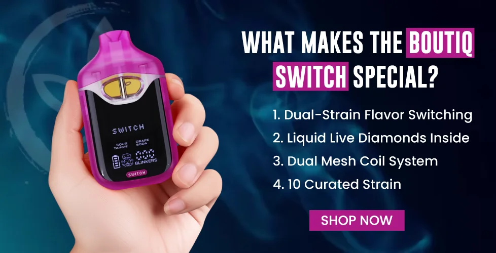 What Makes the Boutiq Switch Special?