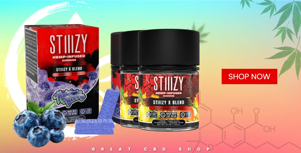 STIIIZY Delta 9 + CBD Gummies 225mg