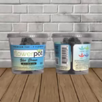 Flower Pot Premium THCp Flower - Blue Dream -- Hybrid