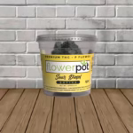 Flower Pot Premium THCp Flower - Sour Diesel -- Sativa