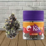 Koi THCa Flower Platinum Tier - Gelato 33 -- Indica