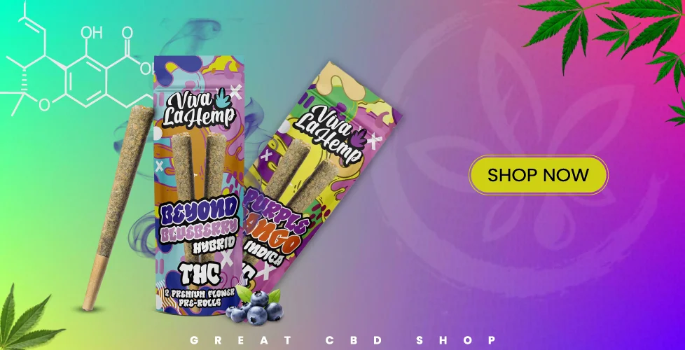 Viva La Premium Pre-Rolled THCa Cones 2ct