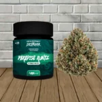 Destroyer Premium Exotic THCa Flower 7g - Paradise Runtz -- Hybrid