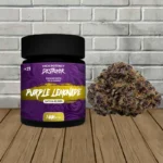 Destroyer Premium Exotic THCa Flower 7g - Purple Lemonade -- Sativa
