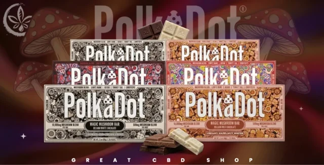 Polkadot Mushroom Chocolate Bar Review Ingredients, Flavors, Effects