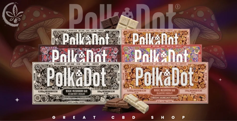 Polkadot Mushroom Chocolate Bar Review Ingredients, Flavors, Effects