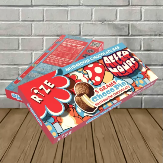 After Hours by Rize Nootropic Mushrooms Blend Chocolate Bars 5g - Choco Pie