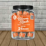 Bloom Stash Premium THCa Flower 2g - Ghost Train Haze -- Sativa