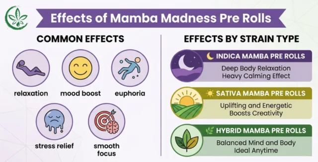 Effects of Mamba Madness