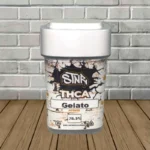 STNR THCa Flower 7g - 1ct Jar - Gelato -- Hybrid