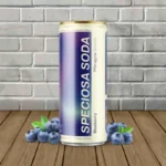 ZIon Herbals MIT Speciosa Kratom 55mg + Caffeine 80mg Soda - Blueberry -- Single Can